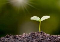 gemini3-japan-stocks-strategy-robotics-infra-ten-bagger