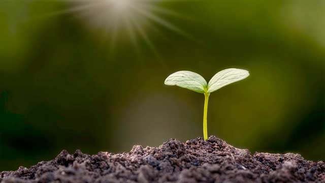 gemini3-japan-stocks-strategy-robotics-infra-ten-bagger