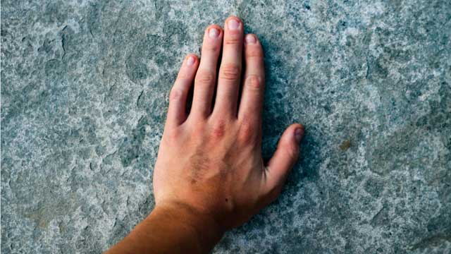 nisa-poverty-and-human-capital