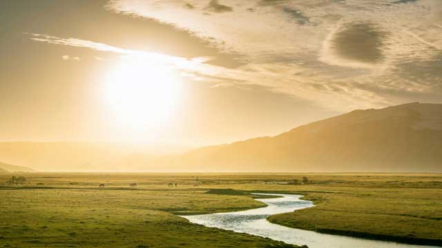 nri-4307-analysis-ai