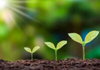 gpif-active-vs-index-investing