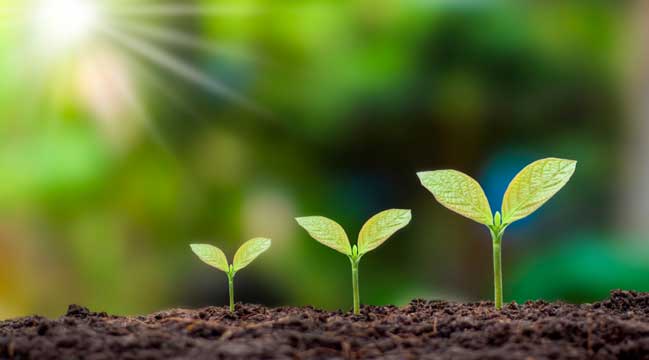 gpif-active-vs-index-investing