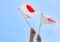 japan-growth-strategy-17-sectors-semiconductor-etf