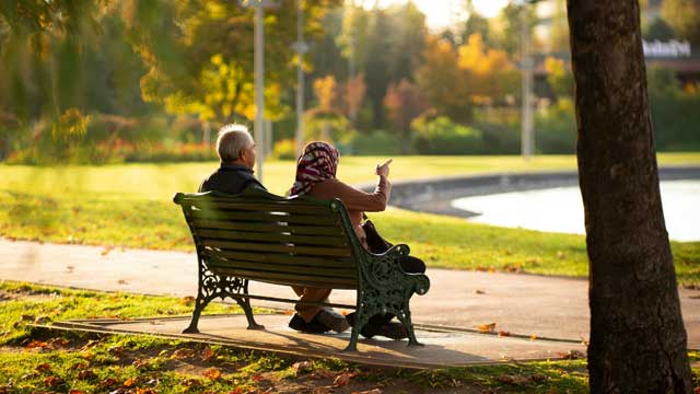 plausible-senior-investment-traps-optimal-asset-management
